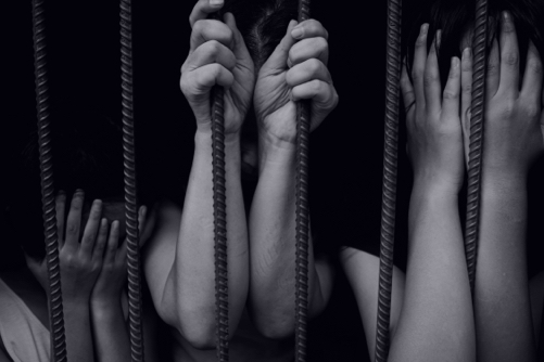 a4c4f945-5fa1-4313-a6df-d9c09f264a77